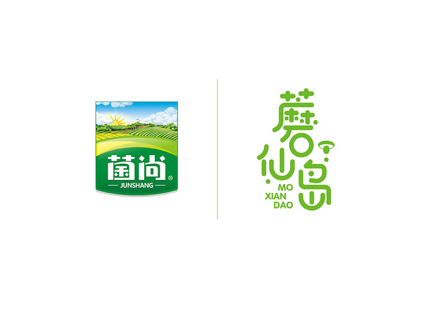 包装设计_包装设计化妆品包装茶叶包装粽子包装零食食品包装电商特产包装11