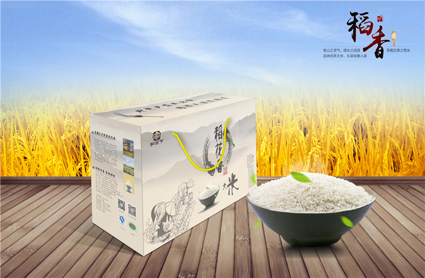 包装设计_包装设计化妆品包装茶叶包装粽子包装零食食品包装电商特产包装7