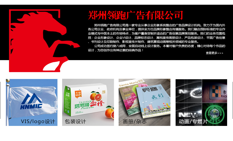 包装设计_【领跑特惠】农产品包装/年货包装/粽子包装  十年经验1