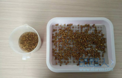 纸上种菜走进社区