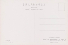 白卡纸用途